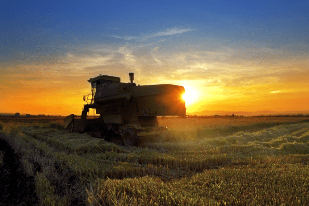 Christian Zini Amorim