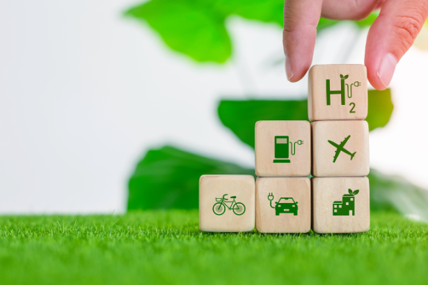 Fernando Trabach Filho